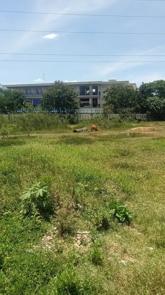 Bán đất Đinh Liệt, Cẩm Lệ – 1.055 m², 10,5 tỷ – ảnh 4
