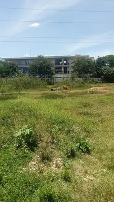 Bán đất Đinh Liệt, Cẩm Lệ – 1.055 m², 10,5 tỷ – ảnh 4