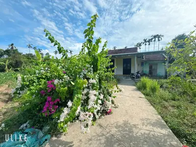 Bán nhà cấp 4 Tam Xuân, Quảng Nam (khu khác) – 3.296,9 m², 6,3 tỷ – ảnh 7