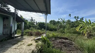 Bán nhà cấp 4 Tam Xuân, Quảng Nam (khu khác) – 3.296,9 m², 6,3 tỷ – ảnh 10