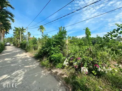 Bán nhà cấp 4 Tam Xuân, Quảng Nam (khu khác) – 3.296,9 m², 6,3 tỷ – ảnh 12