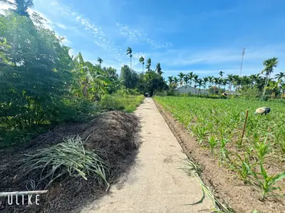 Bán nhà cấp 4 Tam Xuân, Quảng Nam (khu khác) – 3.296,9 m², 6,3 tỷ – ảnh 13