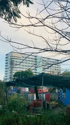 Bán đất mặt tiền Đa Mặn Đông 1, Ngũ Hành Sơn – 87 m², 9,8 tỷ – ảnh 4