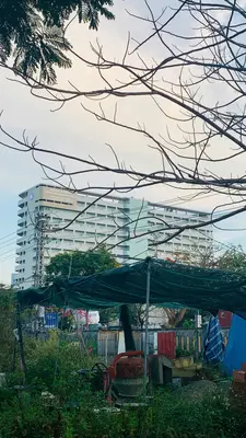 Bán đất mặt tiền Đa Mặn Đông 1, Ngũ Hành Sơn – 87 m², 9,8 tỷ – ảnh 5
