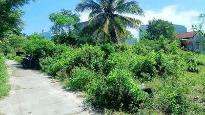 Bán đất Thôn Tân Hạnh, Hòa Vang – 200 m², 2,5 tỷ – ảnh 5