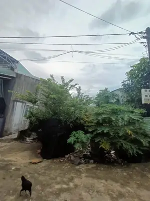Bán đất mặt tiền Phú Thượng, Liên Chiểu – 136 m², 1,7 tỷ
