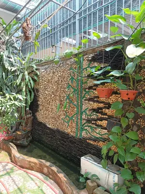 Bán nhà Cẩm Bắc 5, Cẩm Lệ – 140 m², 3 tầng, 9,1 tỷ