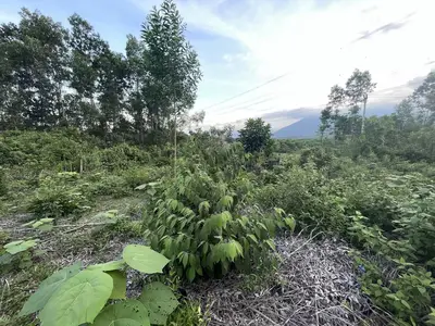 Bán đất Hòa Ninh, Hòa Vang – 1.050 m², 2,1 tỷ – ảnh 2