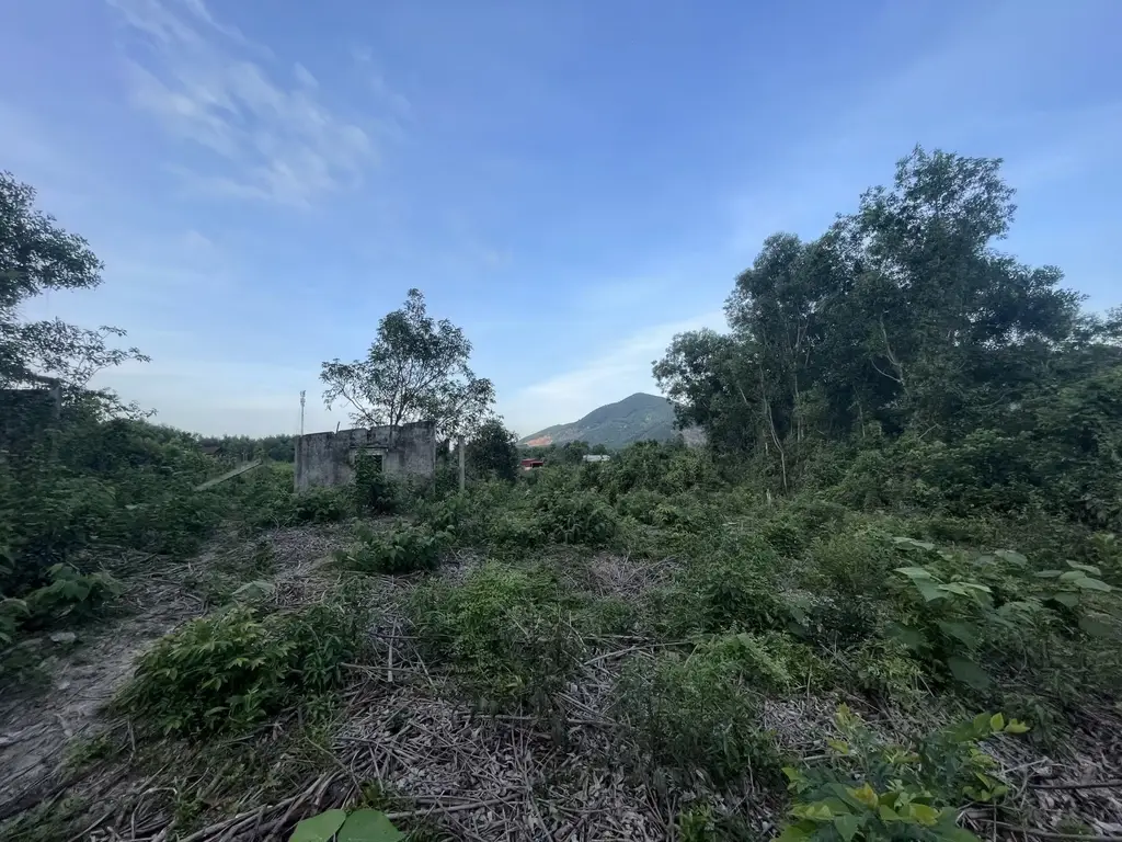 Bán đất Hòa Ninh, Hòa Vang – 1.050 m², 2,1 tỷ – ảnh 4