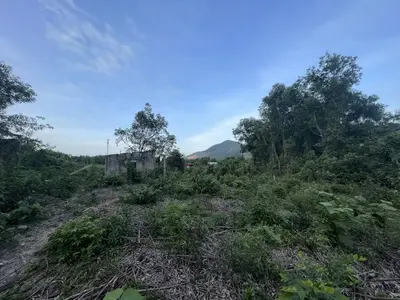 Bán đất Hòa Ninh, Hòa Vang – 1.050 m², 2,1 tỷ – ảnh 4