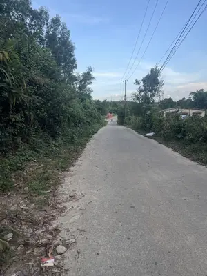 Bán đất Hòa Ninh, Hòa Vang – 1.050 m², 2,1 tỷ – ảnh 9