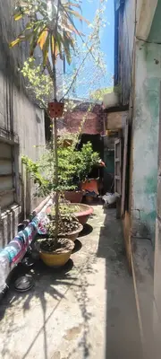 Bán nhà cấp 4 Trương Định, Sơn Trà – 185,8 m², 7,6 tỷ – ảnh 3
