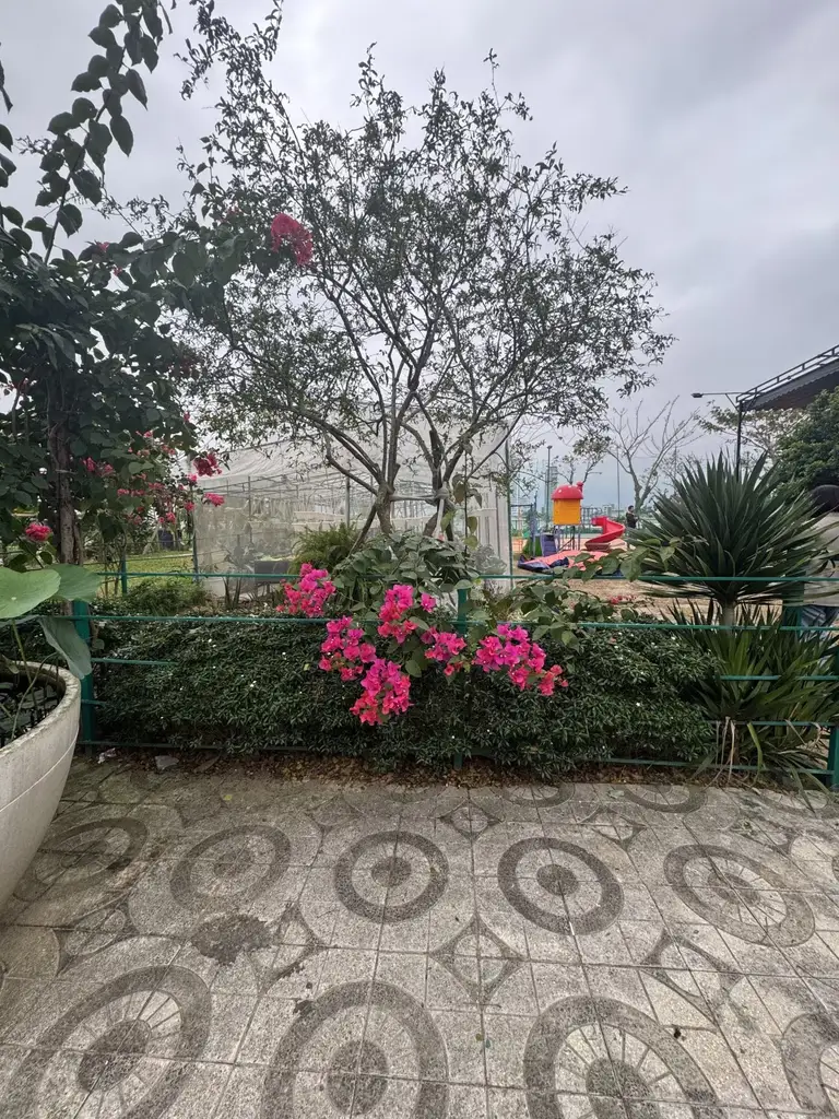 Bán đất mặt tiền Bằng Lăng Euro Villa, Sơn Trà – 300 m², 97 tỷ – ảnh 2