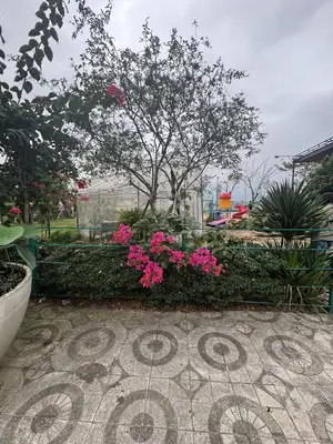 Bán đất mặt tiền Bằng Lăng Euro Villa, Sơn Trà – 300 m², 97 tỷ – ảnh 2