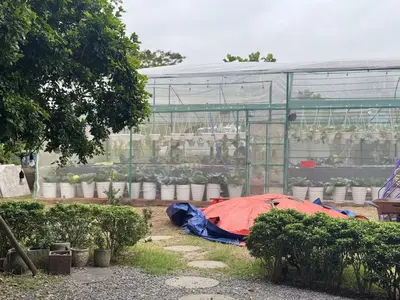Bán đất mặt tiền Bằng Lăng Euro Villa, Sơn Trà – 300 m², 97 tỷ – ảnh 4