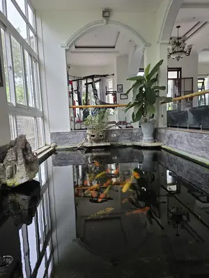 Bán nhà mặt tiền Nguyễn Chí Thanh Thôn Bầu Ốc, Hội An – 445,3 m², 3 tầng, 14,9 tỷ – ảnh 13