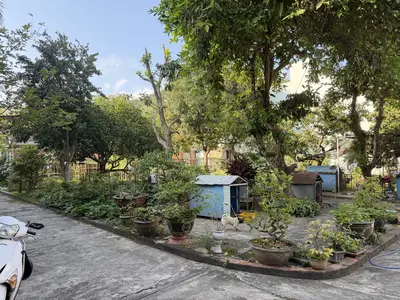 Bán nhà Trần Quang Khải, Sơn Trà – 1.234 m², 2 tầng, 85 tỷ – ảnh 12