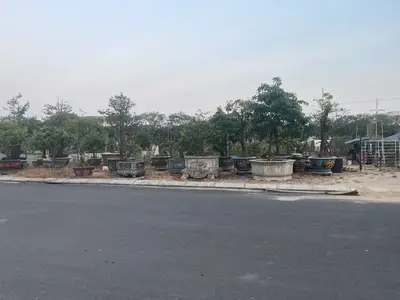 Bán đất mặt tiền Hồ Tùng Mậu, Liên Chiểu – 97 m², 7,9 tỷ