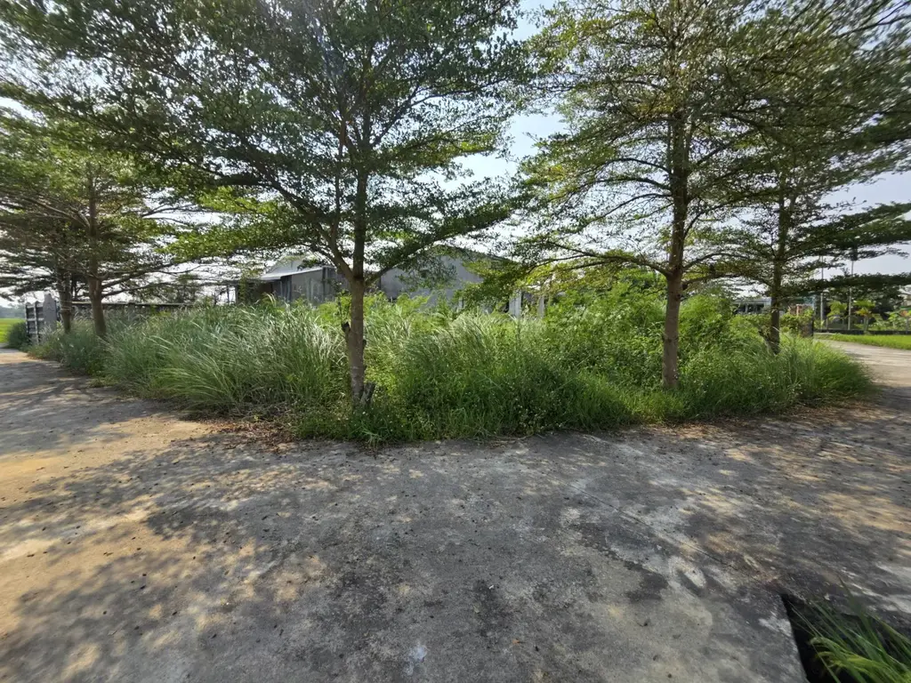 Bán đất KP Long Xuyên 1, Duy Xuyên – 306,7 m², 2,05 tỷ – ảnh 2