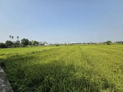 Bán đất KP Long Xuyên 1, Duy Xuyên – 306,7 m², 2,05 tỷ – ảnh 9
