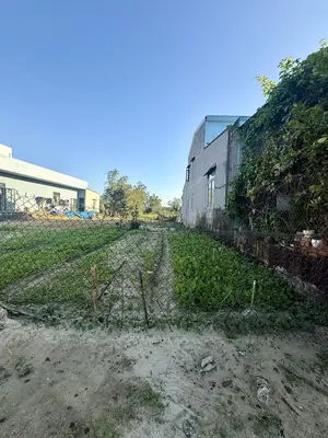 Bán đất Khối Phố Bình Ninh, Điện Bàn – 235 m², 2,5 tỷ