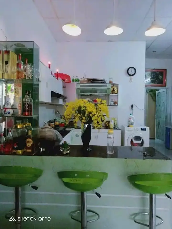Bán nhà cấp 4 Trần Đình Nam, Thanh Khê – 69,5 m², 3,3 tỷ – ảnh 2
