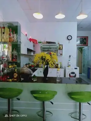 Bán nhà cấp 4 Trần Đình Nam, Thanh Khê – 69,5 m², 3,3 tỷ – ảnh 2