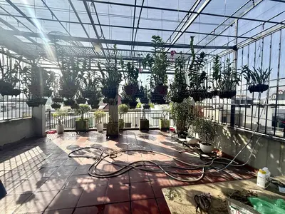 Bán nhà Đường 2 Tháng 9, Hải Châu – 108 m², 3 tầng, 9,95 tỷ – ảnh 7