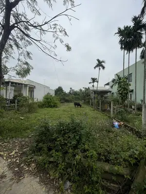 Bán đất Điện Hòa, Quảng Nam (khu khác) – 500 m², 3,5 tỷ – ảnh 4