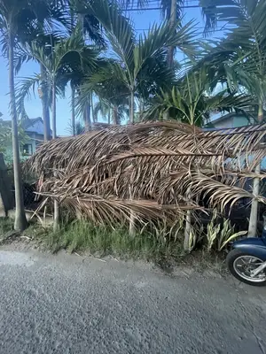 Bán đất Kiệt Hai Bà Trưng – An Bàng, Hội An – 115 m², 4,35 tỷ – ảnh 3