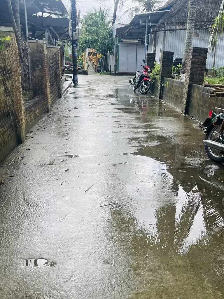 Bán đất Vườn Dừa Cầu Cửa Đại, Hội An – 176,4 m², 4,45 tỷ – ảnh 2