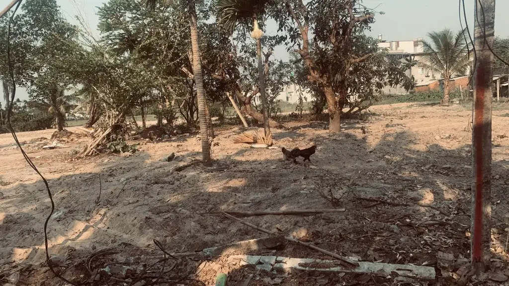 Bán đất mặt tiền Thôn Trà Đóa 1, Thăng An, Đà Nẵng(Thăng Bình, Quảng Nam cũ, Quảng Nam (khu khác) – 2.180 m², 8 tỷ – ảnh 2