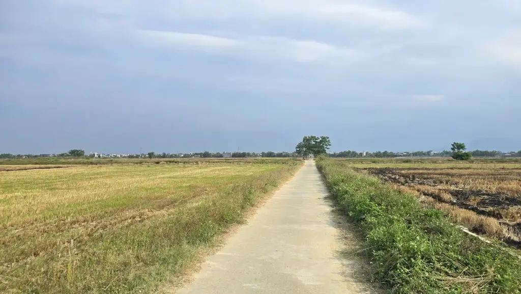 Bán đất Điện Phương, Hội An, Hội An – 257 m², 1,6 tỷ – ảnh 3