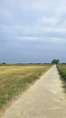 Bán đất Điện Phương, Hội An, Hội An – 257 m², 1,6 tỷ – ảnh 8