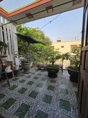 Bán nhà mặt tiền Phú Lộc 9, Thanh Khê – 75 m², 3 tầng, 8,25 tỷ – ảnh 12