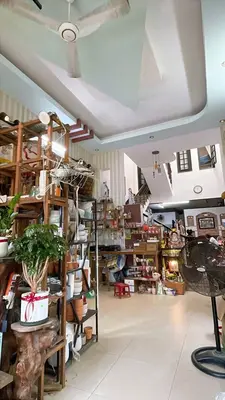 Bán nhà mặt tiền Dương Tự Minh, Sơn Trà – 90 m², 4 tầng, 25,7 tỷ – ảnh 6