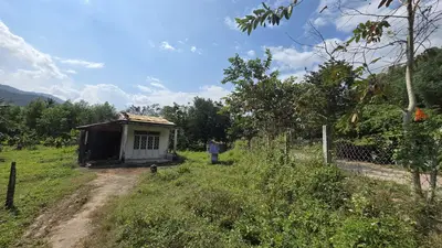 Bán nhà cấp 4 mặt tiền Hòa Bắc, Hòa Vang – 1.766 m², 6,7 tỷ