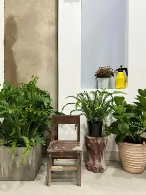 Bán nhà Kiệt Chế Lan Viên, Ngũ Hành Sơn – 98 m², 2 tầng, 12,3 tỷ – ảnh 5