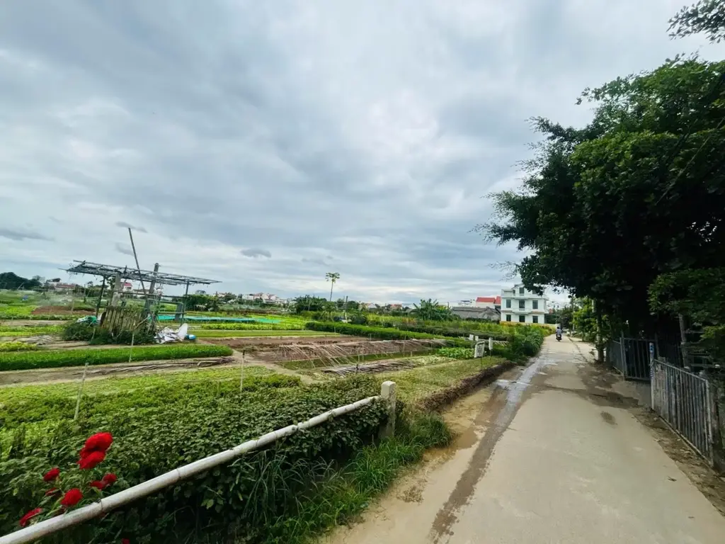Bán đất Trà Quế, Hội An – 123 m², 4,45 tỷ – ảnh 2