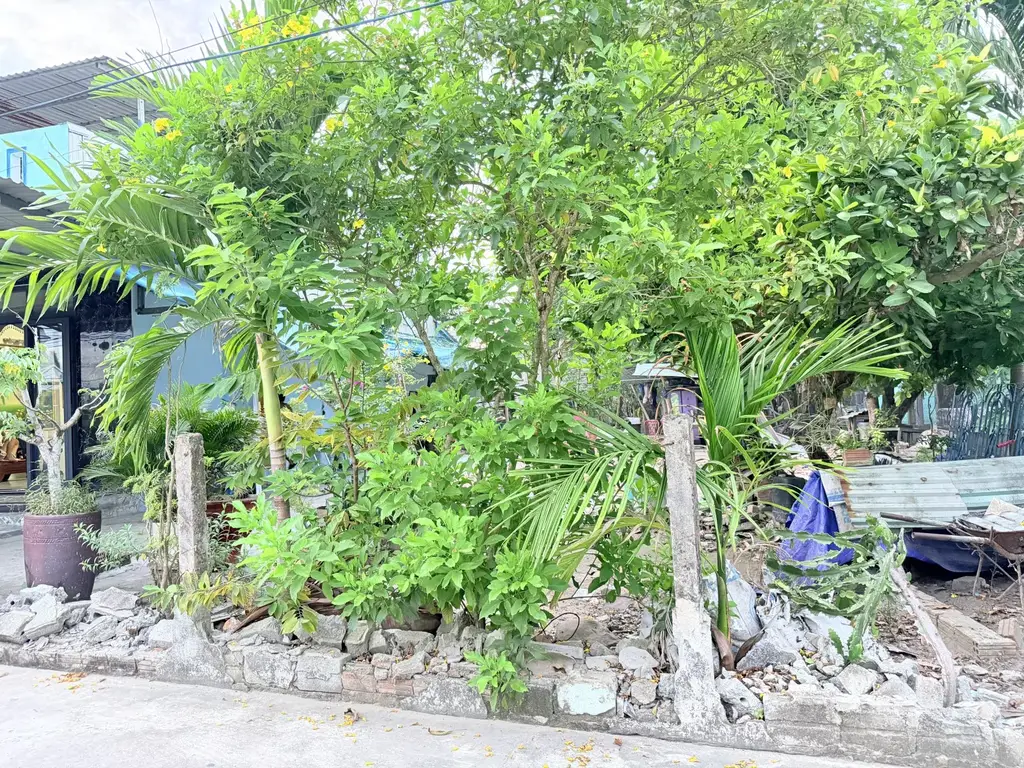 Bán đất Tổ Hưởng Phước, phường Liên Chiểu, Hòa Vang – 150 m², 2,25 tỷ – ảnh 3