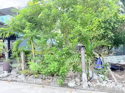 Bán đất Tổ Hưởng Phước, phường Liên Chiểu, Hòa Vang – 150 m², 2,25 tỷ – ảnh 3