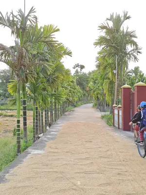 Bán đất Duy Thành, Hội An – 242 m², 1,05 tỷ – ảnh 6