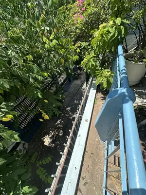 Bán nhà Điện Biên Phủ, Thanh Khê – 80 m², 2 tầng, 4,5 tỷ – ảnh 2
