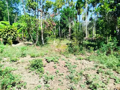 Bán đất Hòa Xuân, Hòa Vang – 336 m², 2,8 tỷ