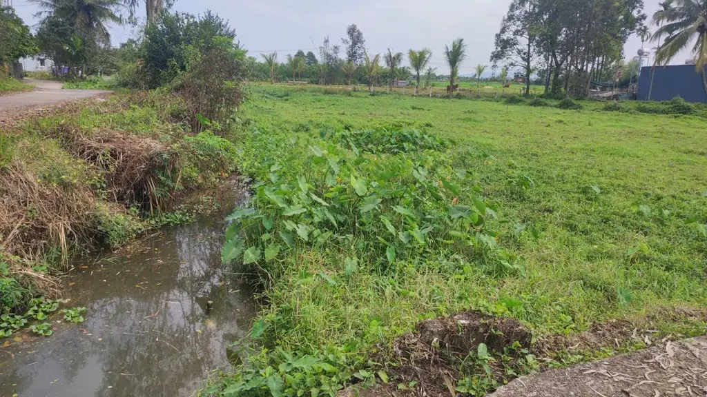 Bán đất Xã Hòa Khương, Hòa Vang – 878 m², 790 triệu – ảnh 4