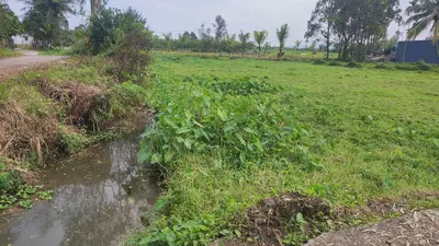 Bán đất Xã Hòa Khương, Hòa Vang – 878 m², 790 triệu – ảnh 4