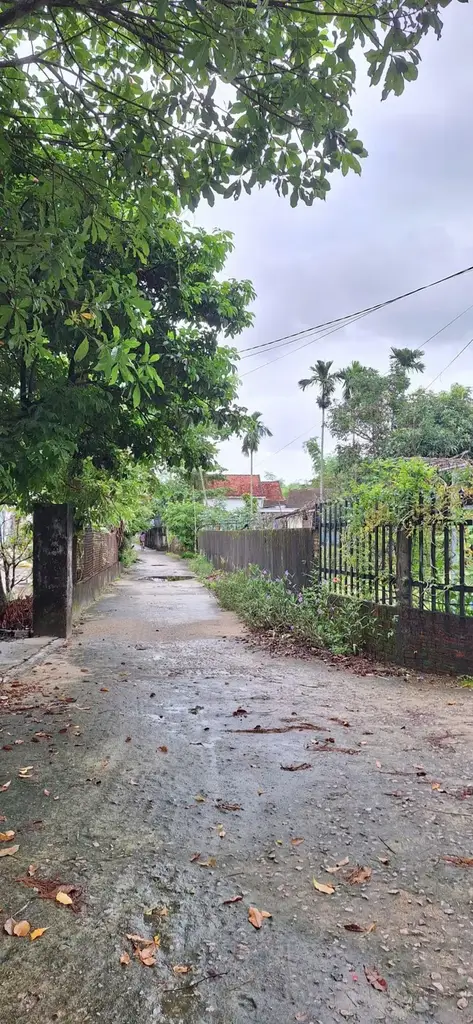 Bán đất Đường Số 16 Thôn Ngọc Sơn Tây, xã Bình Phúc THĂNG BÌNH, Quảng Nam (khu khác) – 600 m², 3 tỷ – ảnh 3