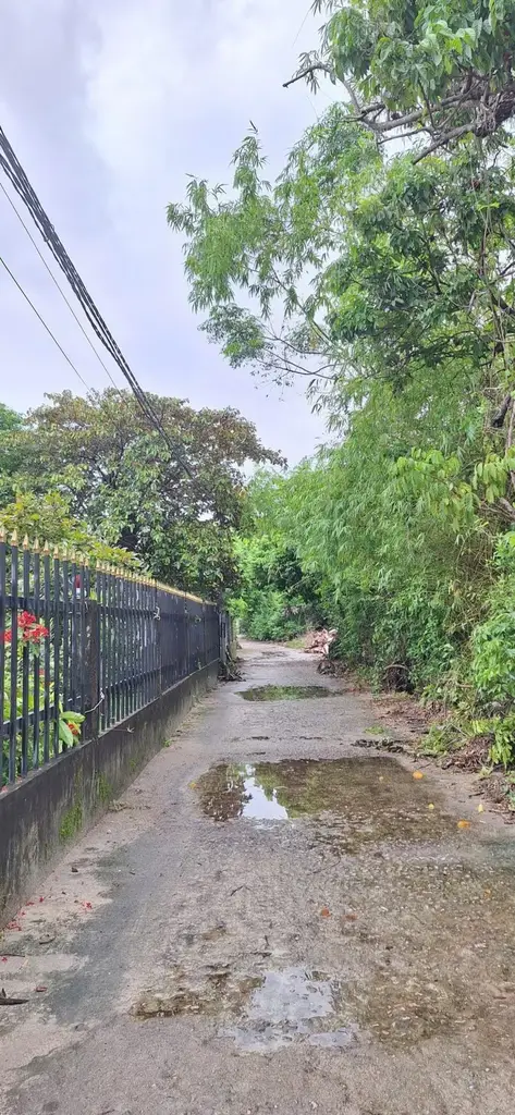 Bán đất Đường Số 16 Thôn Ngọc Sơn Tây, xã Bình Phúc THĂNG BÌNH, Quảng Nam (khu khác) – 600 m², 3 tỷ – ảnh 4