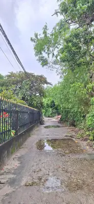 Bán đất Đường Số 16 Thôn Ngọc Sơn Tây, xã Bình Phúc THĂNG BÌNH, Quảng Nam (khu khác) – 600 m², 3 tỷ – ảnh 4