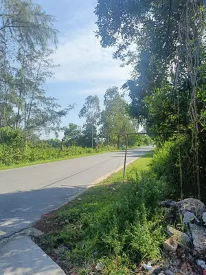 Bán đất Đường Số 16 Thôn Ngọc Sơn Tây, xã Bình Phúc THĂNG BÌNH, Quảng Nam (khu khác) – 600 m², 3 tỷ – ảnh 10